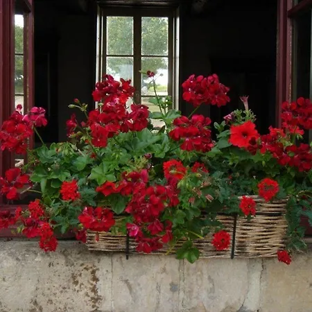 Manoir De La Riviere 3* Saint-Louet-sur-Seulles